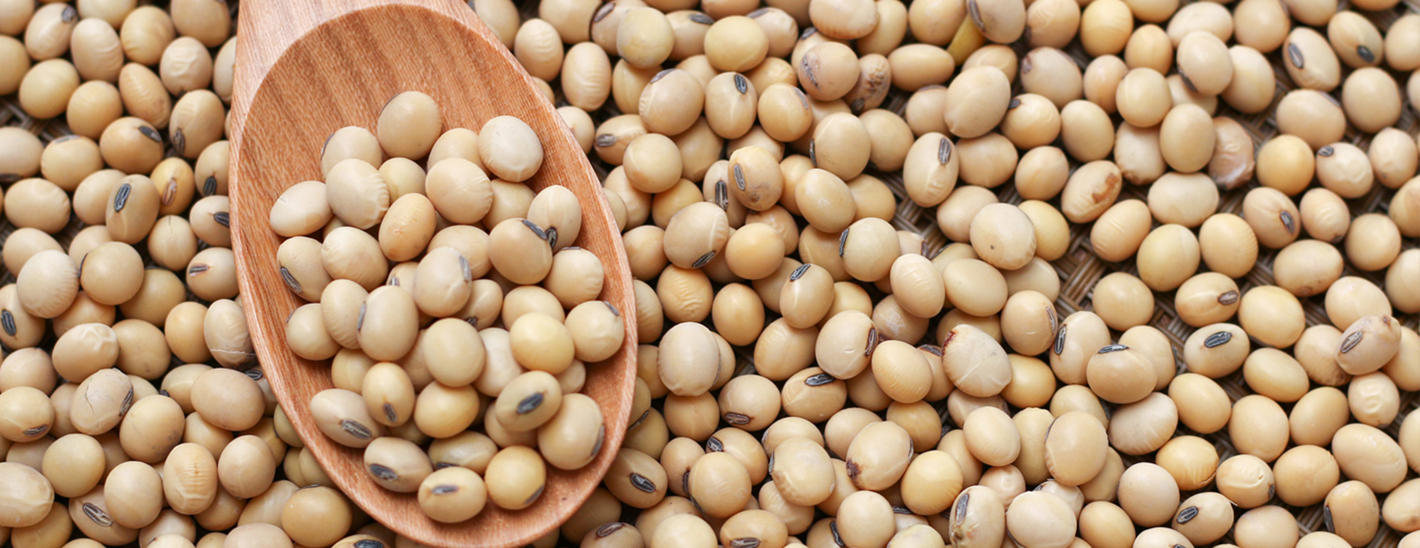 Top 20 Ways to Get More Soy in Your Diet, Patient Education