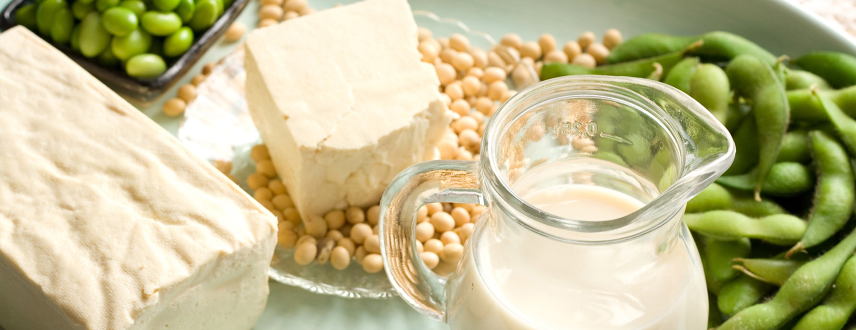 A Guide To Foods Rich In Soy Patient Education UCSF Health