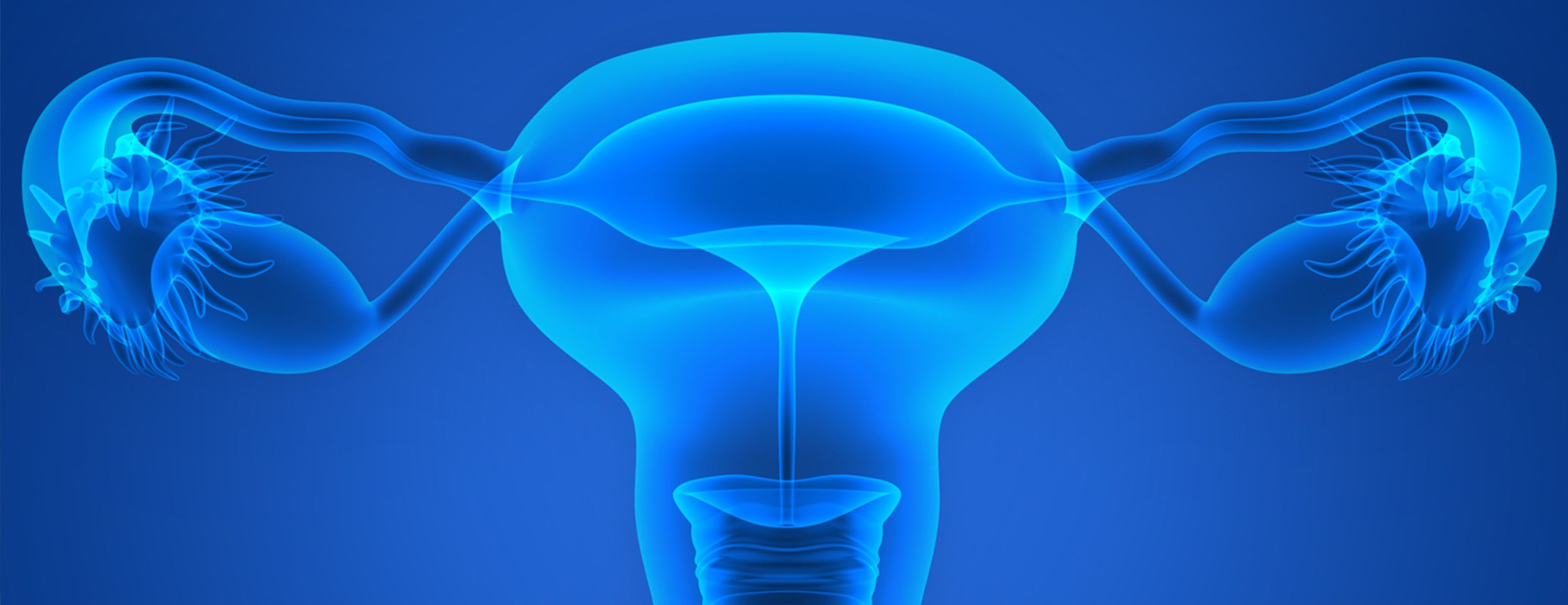 How the Menstrual Cycle Changes Women's Brains - For the Better