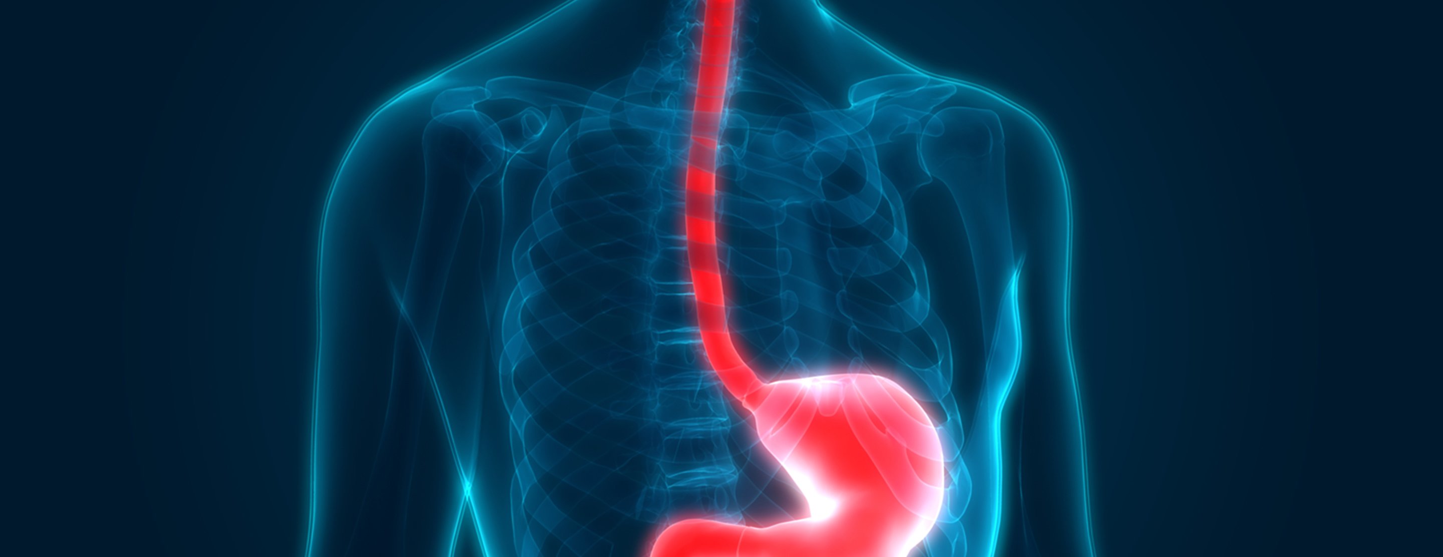 esophageal-culture