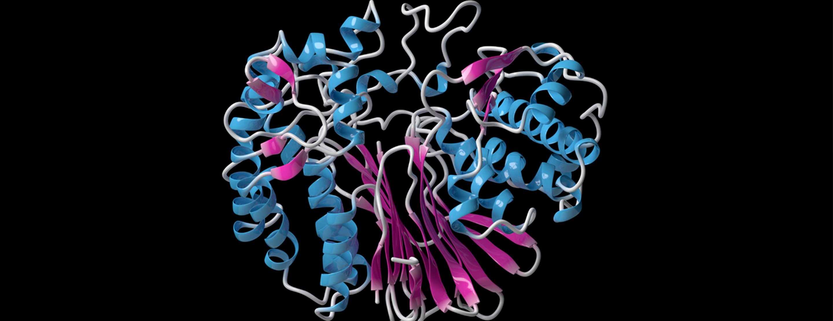 Gamma glutamyl Transferase GGT Blood Test