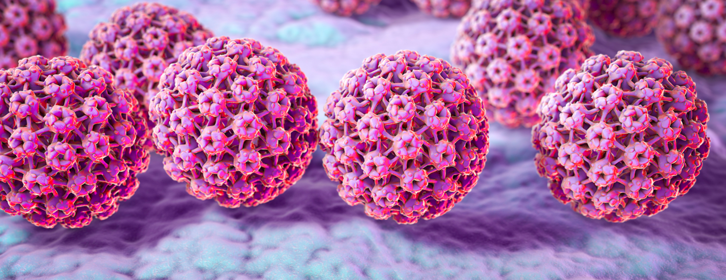 human papillomavirus can lead to cervical cancer