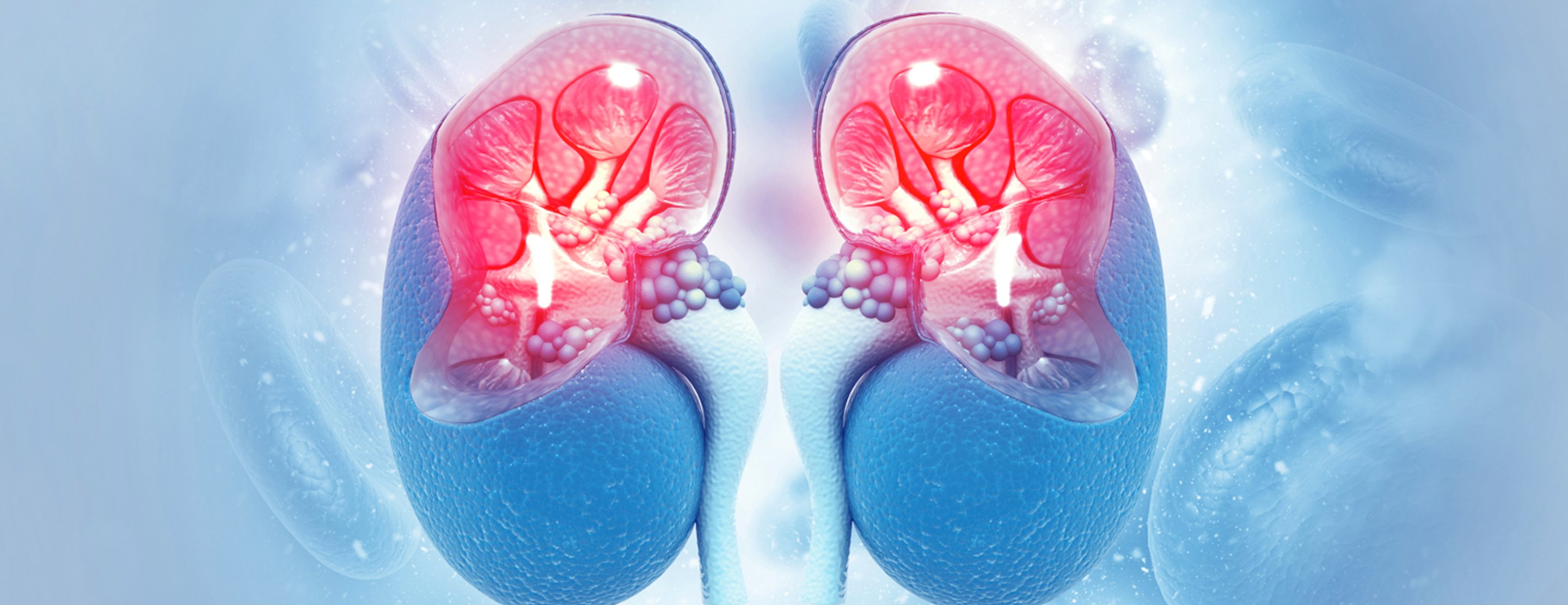 Renal Perfusion Scintiscan