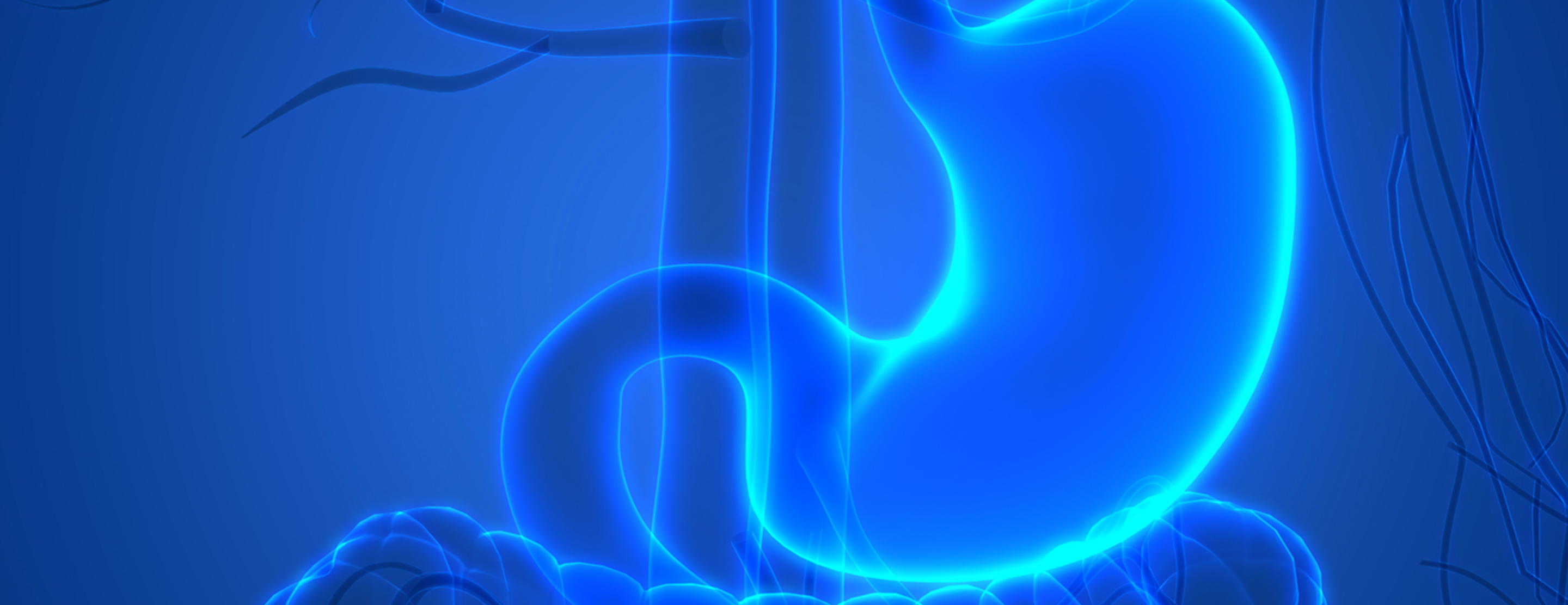 Upper GI And Small Bowel Series