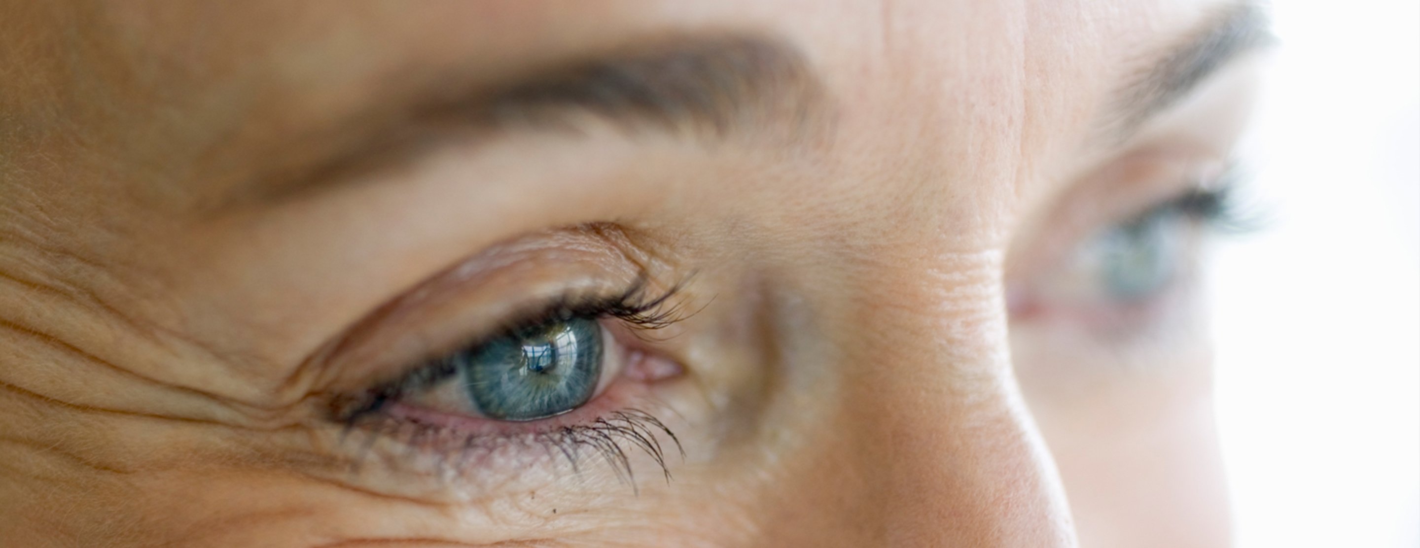 Eyelid: Parts of the Eyelid and How They Work - All About Vision