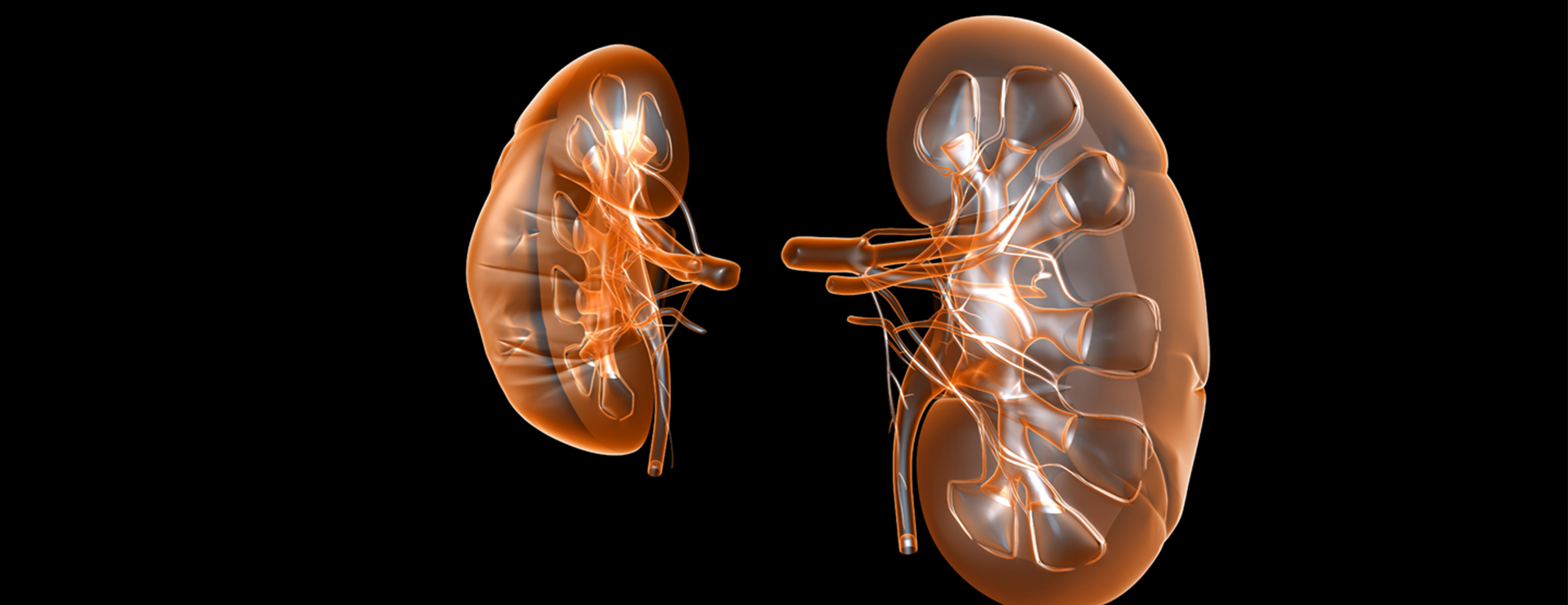 laparoscopic-surgery-for-the-kidney-donor-conditions-treatments