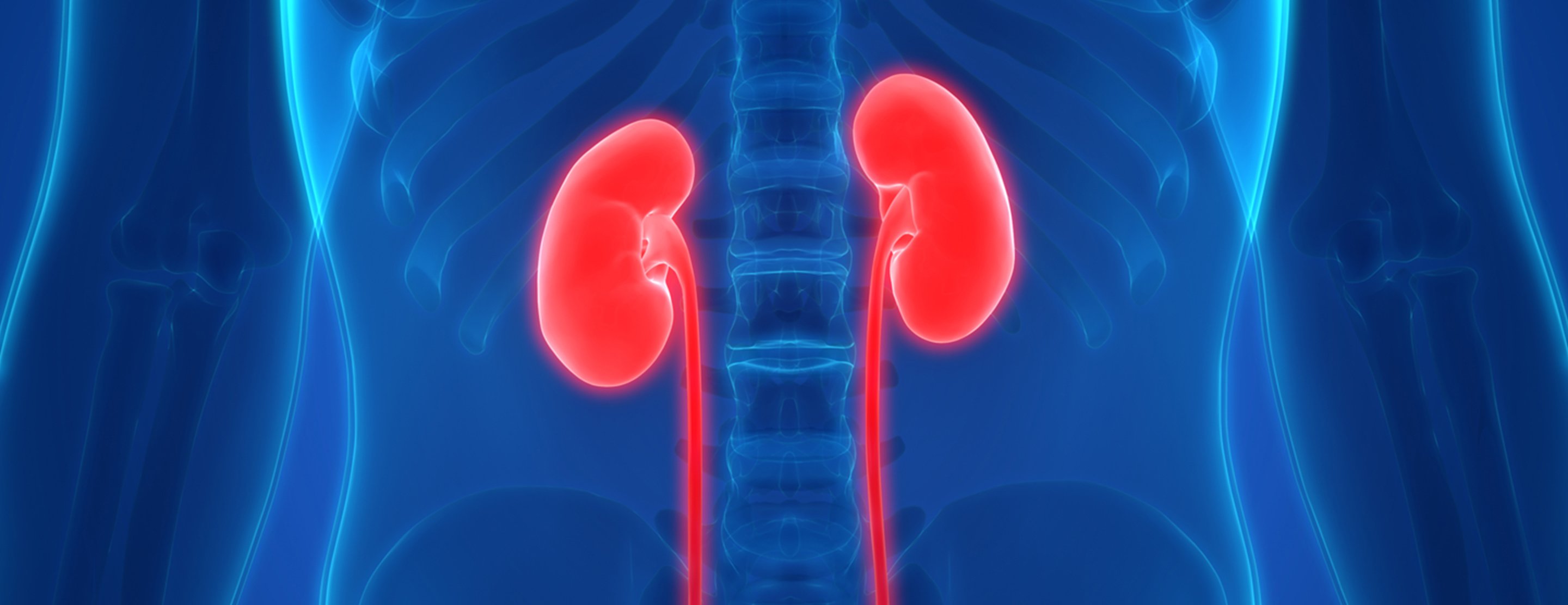 Blood Type Compatibility Chart For Kidney Transplant Labb By AG