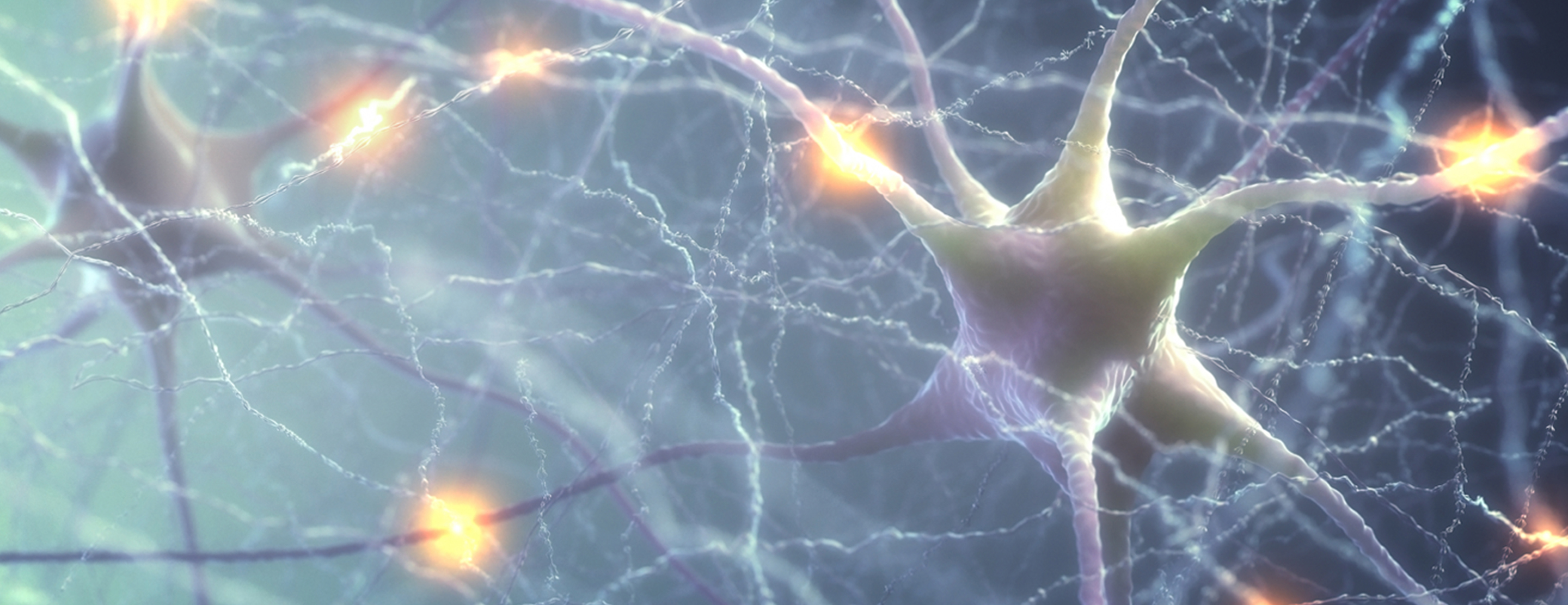 Neurology : Vagus nerve stimulation